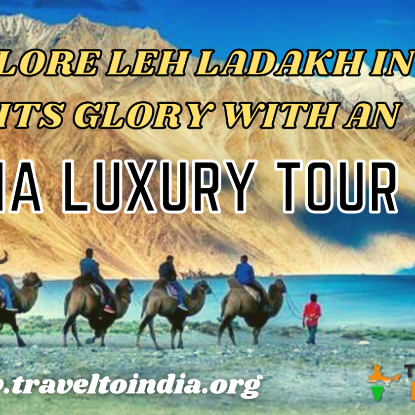 India Luxury Tour