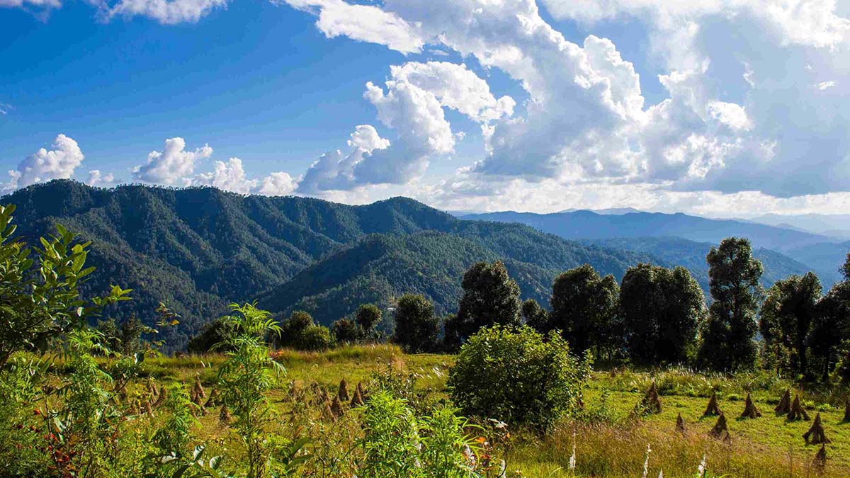 Binsar, Uttarakhand